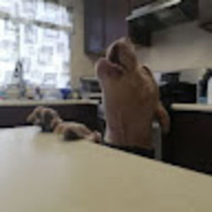 Meet your Posher, Kristopher